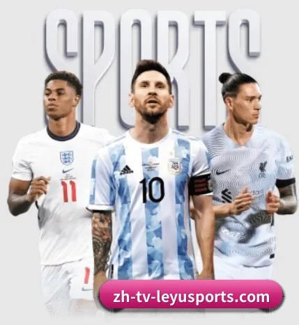 五大服务分区,信息按项目分类
